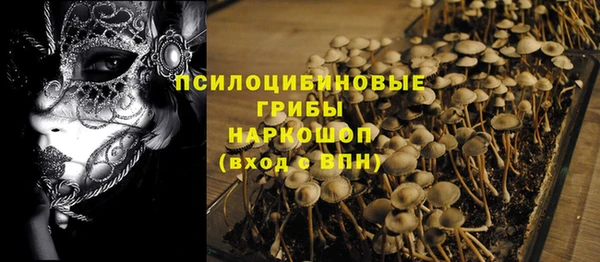 дурь Армянск