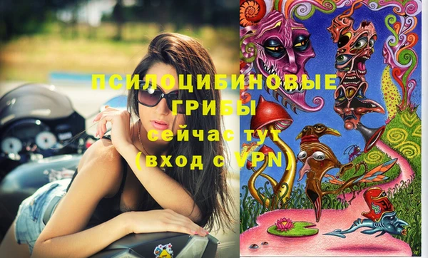 прущая мука Арсеньев